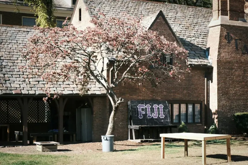Blooming tree in front of a classic brick college building in spring