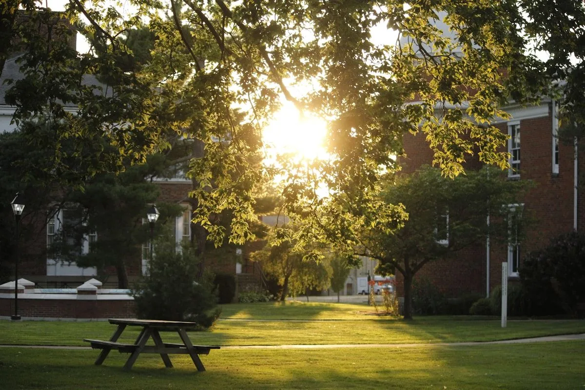 Sunny college campus with green grass, trees and warm weather